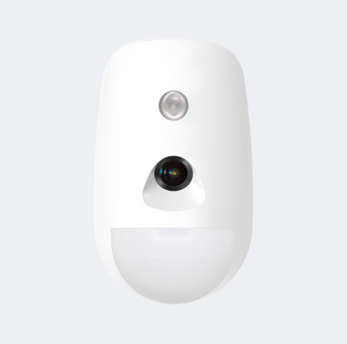 Wireless PIR CAMERA Detector
